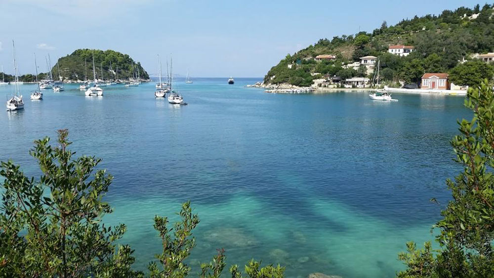 panorama paxos